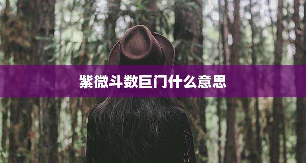 紫微斗数巨门什么意思