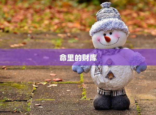 命里的财库