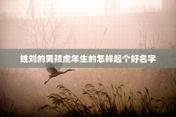 姓刘的男孩虎年生的怎样起个好名字