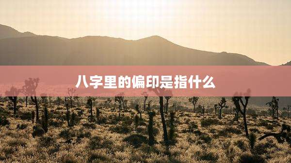 八字里的偏印是指什么