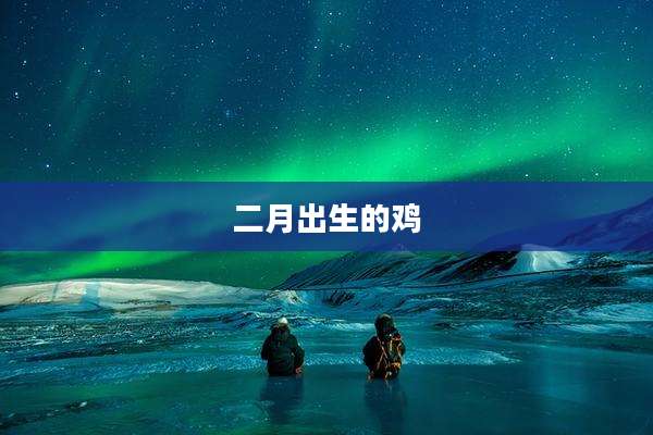 二月出生的鸡