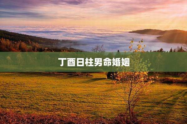 丁酉日柱男命婚姻