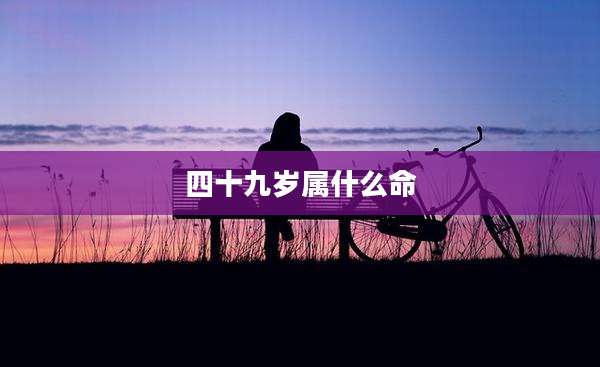 四十九岁属什么命