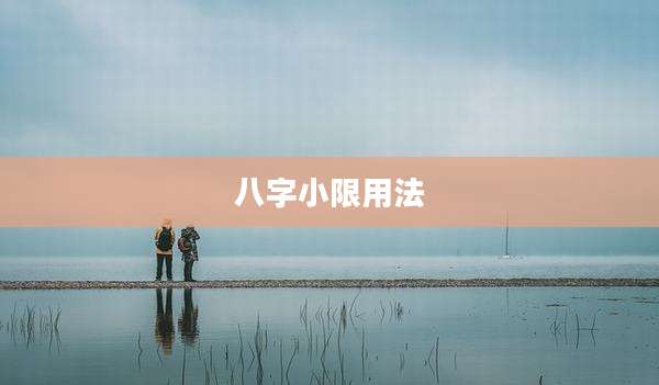 八字小限用法