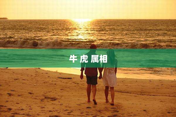 牛 虎 属相