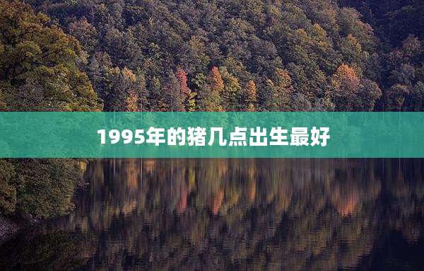 1995年的猪几点出生最好