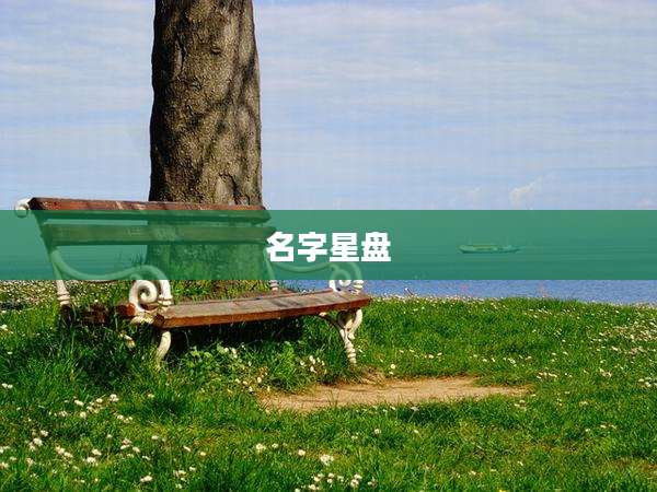 名字星盘