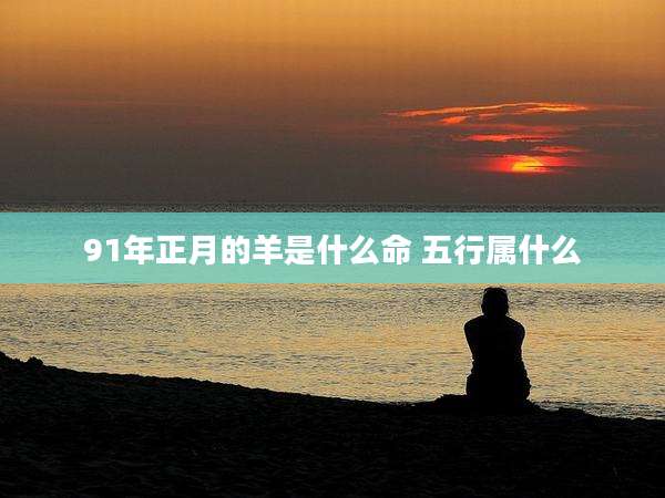 91年正月的羊是什么命 五行属什么