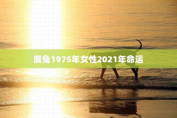 属兔1975年女性2021年命运