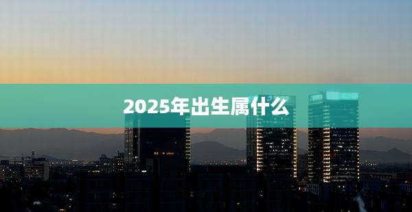 2025年出生属什么