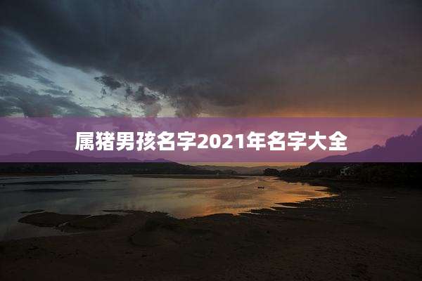 属猪男孩名字2021年名字大全