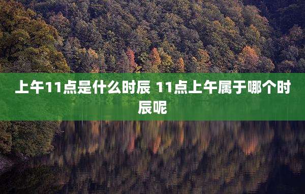 上午11点是什么时辰 11点上午属于哪个时辰呢