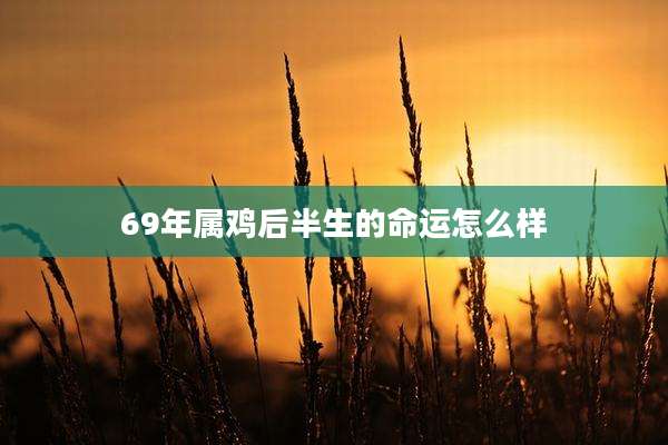 69年属鸡后半生的命运怎么样