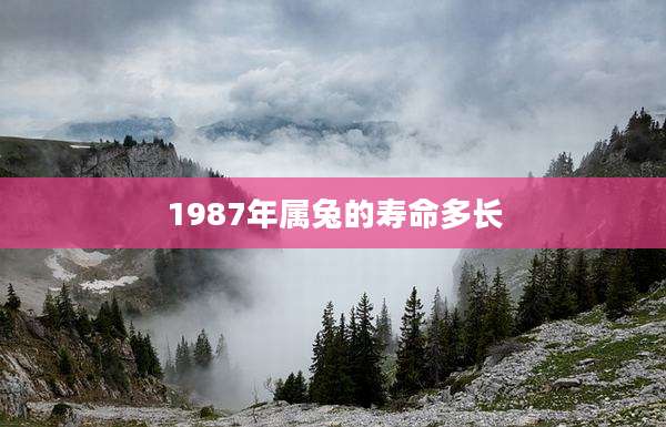 1987年属兔的寿命多长