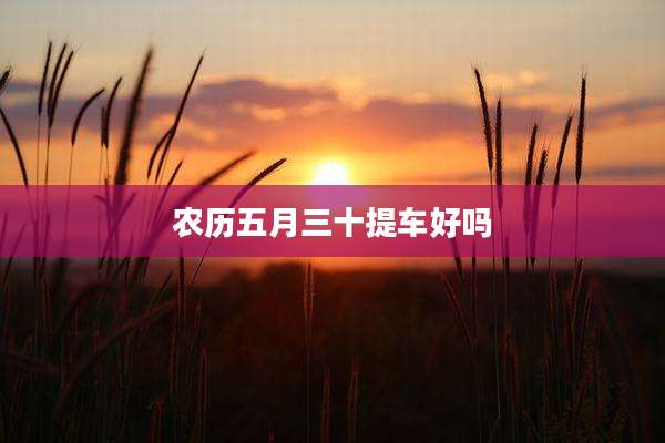 农历五月三十提车好吗