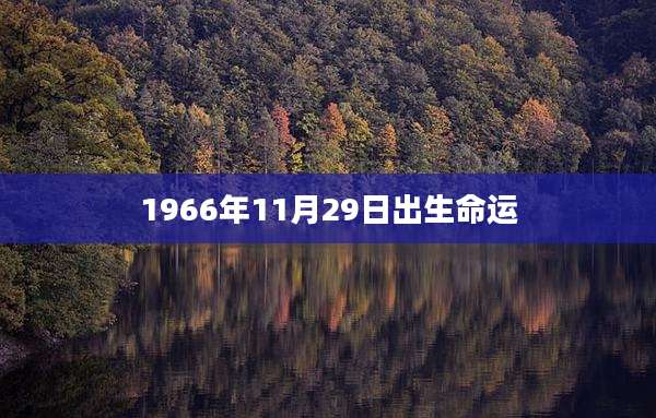 1966年11月29日出生命运
