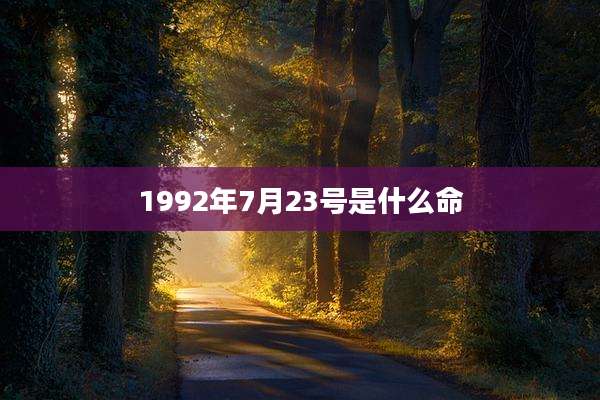 1992年7月23号是什么命