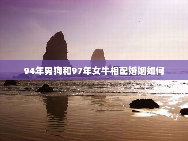 94年男狗和97年女牛相配婚姻如何