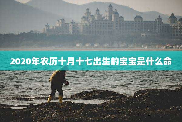 2020年农历十月十七出生的宝宝是什么命