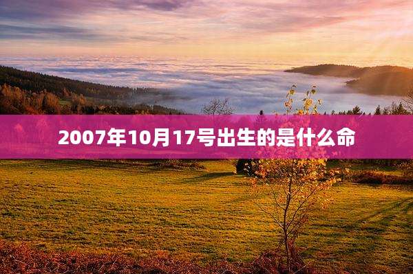 2007年10月17号出生的是什么命
