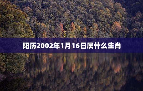 阳历2002年1月16日属什么生肖