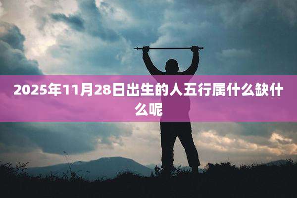 2025年11月28日出生的人五行属什么缺什么呢