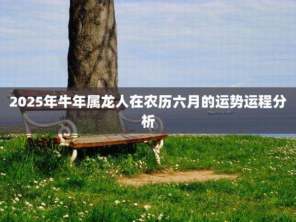 2025年牛年属龙人在农历六月的运势运程分析