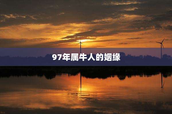 97年属牛人的姻缘