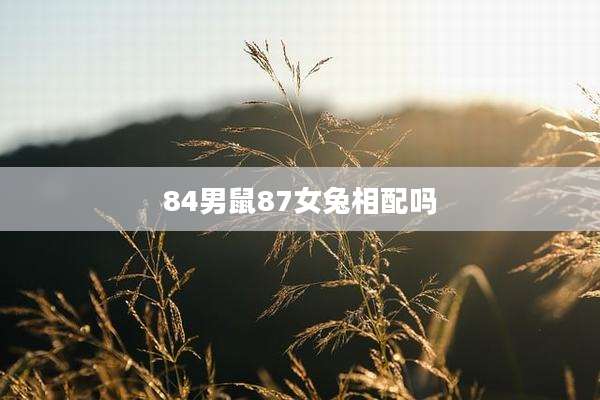 84男鼠87女兔相配吗