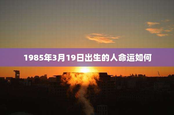 1985年3月19日出生的人命运如何