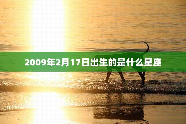 2009年2月17日出生的是什么星座