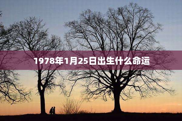 1978年1月25日出生什么命运