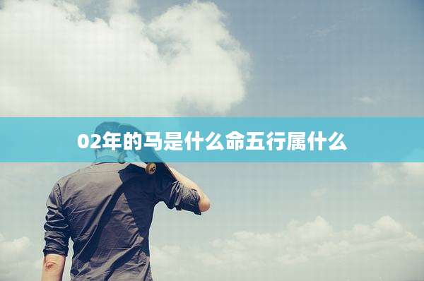 02年的马是什么命五行属什么