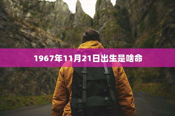 1967年11月21日出生是啥命