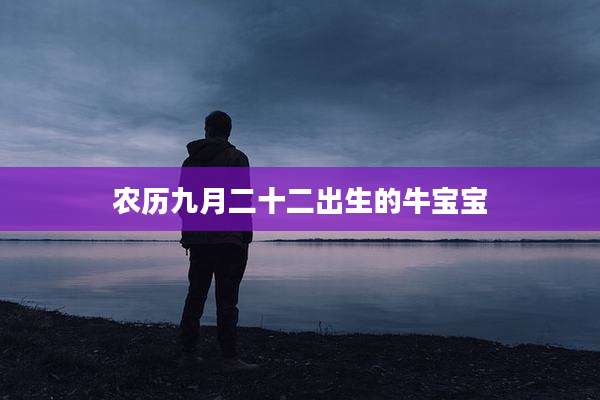 农历九月二十二出生的牛宝宝