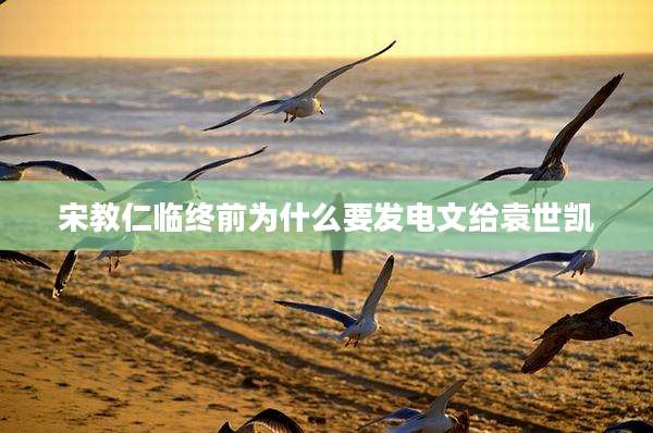 宋教仁临终前为什么要发电文给袁世凯