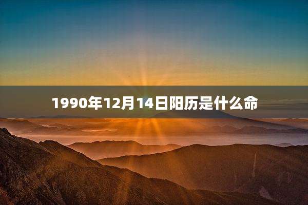 1990年12月14日阳历是什么命