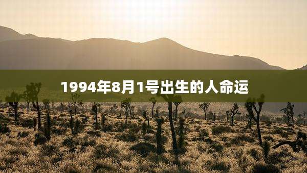 1994年8月1号出生的人命运