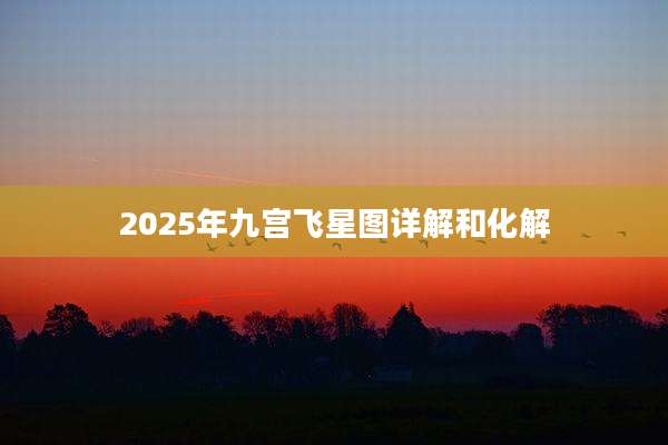 2025年九宫飞星图详解和化解