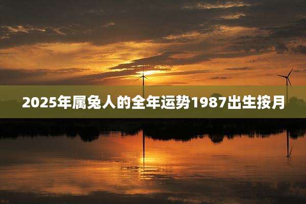 2025年属兔人的全年运势1987出生按月