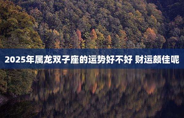 2025年属龙双子座的运势好不好 财运颇佳呢