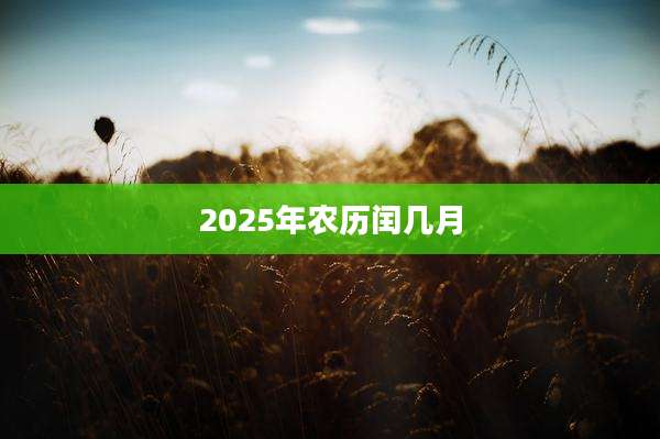 2025年农历闰几月