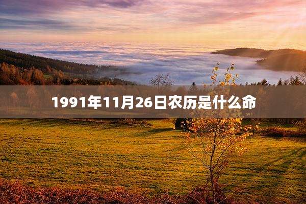 1991年11月26日农历是什么命