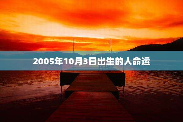 2005年10月3日出生的人命运