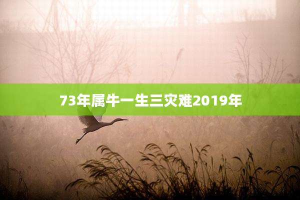 73年属牛一生三灾难2019年