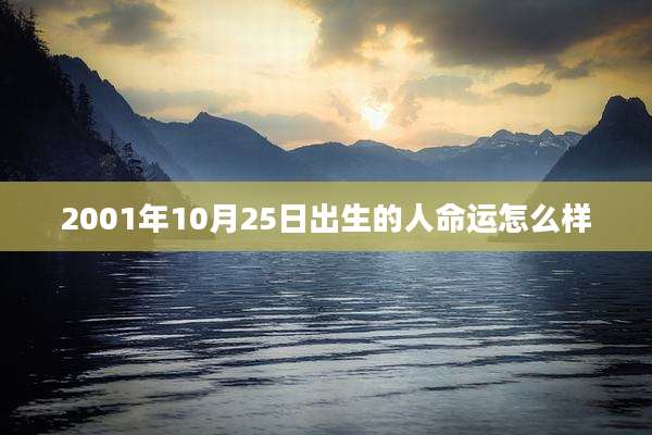 2001年10月25日出生的人命运怎么样
