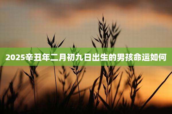 2025辛丑年二月初九日出生的男孩命运如何