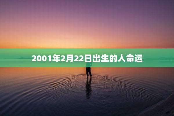 2001年2月22日出生的人命运