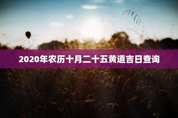 2020年农历十月二十五黄道吉日查询