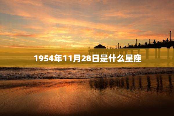 1954年11月28日是什么星座